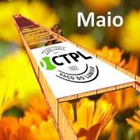 Maio 2025 escada